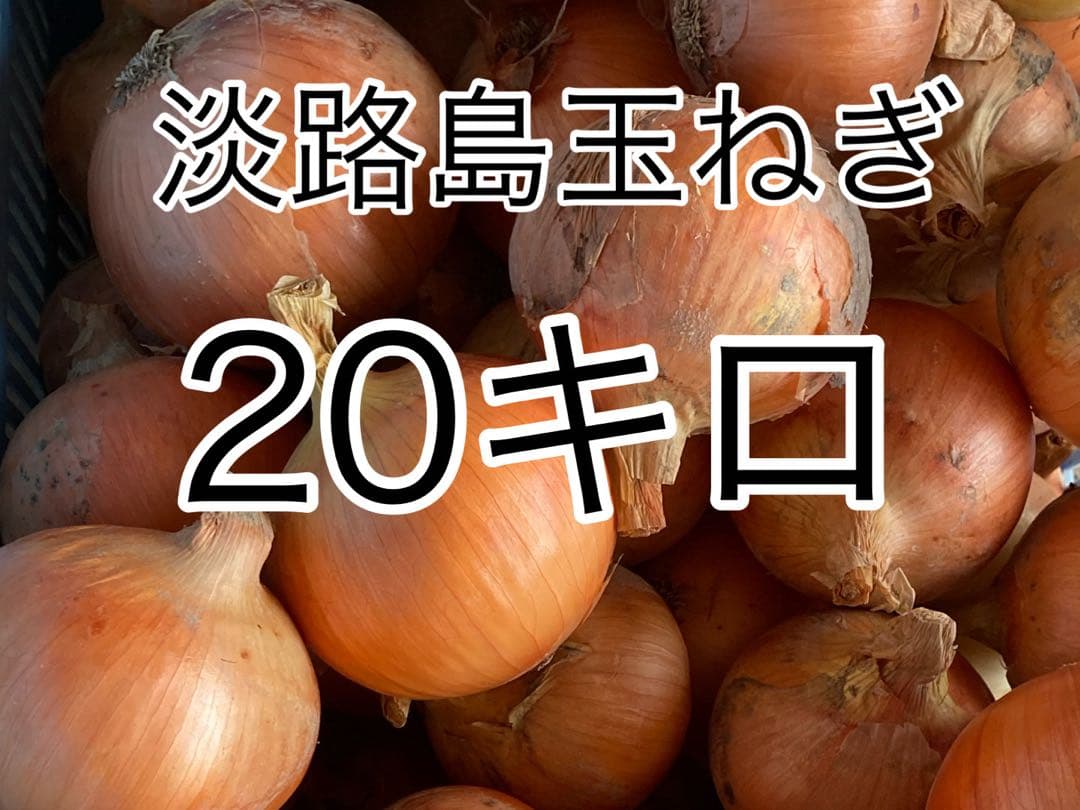 専用淡路島玉ねぎ