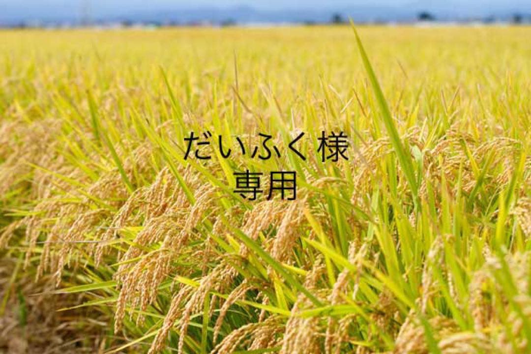 だいふく