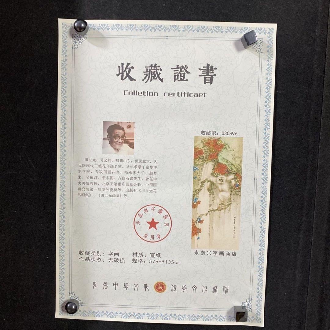 四尺中堂 中国花鳥画 田世光 紅葉白猿図 掛軸 証書付