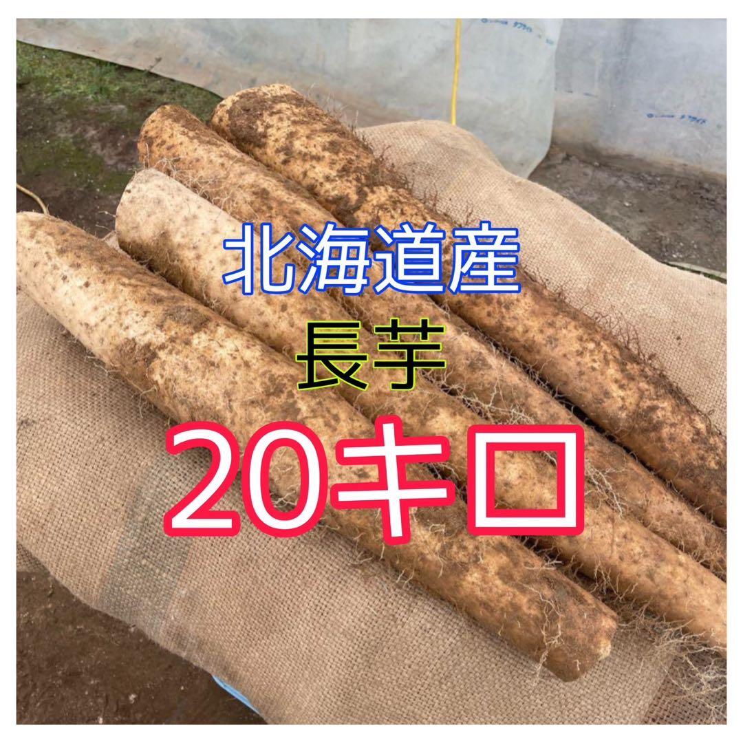 北海道産 長芋 20キロ