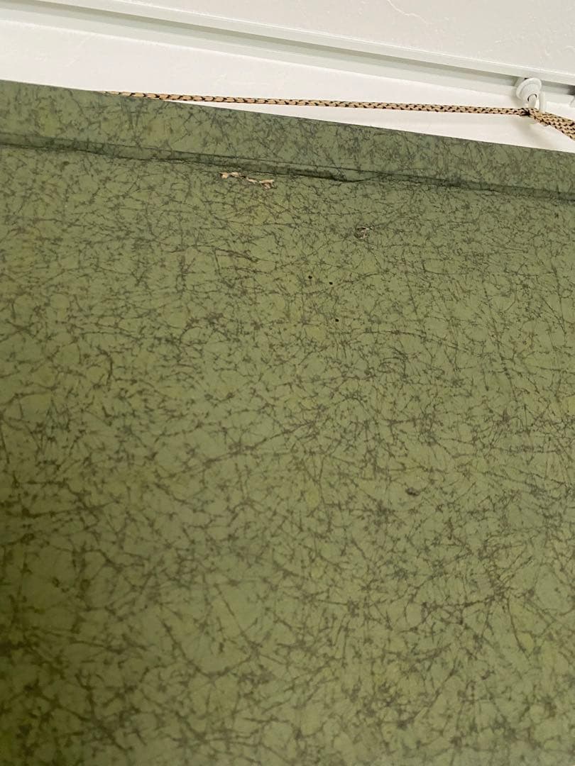 大迫力　岡本秀香　霊松ノ図　松の絵　水墨画 掛軸　日本画　大正番付作家