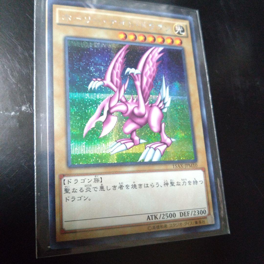 ホーリー・ナイト・ドラゴン