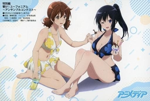響け! ユーフォニアム  アニメディア ゲーマーズ特典 ポストカード