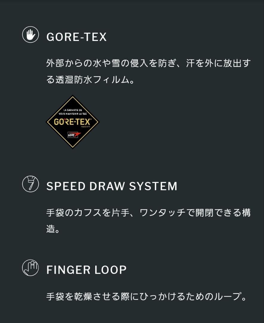 スキー・スノーボードアクセサリー SWANY TR-806 Alpine EXP Mitt MENS/L