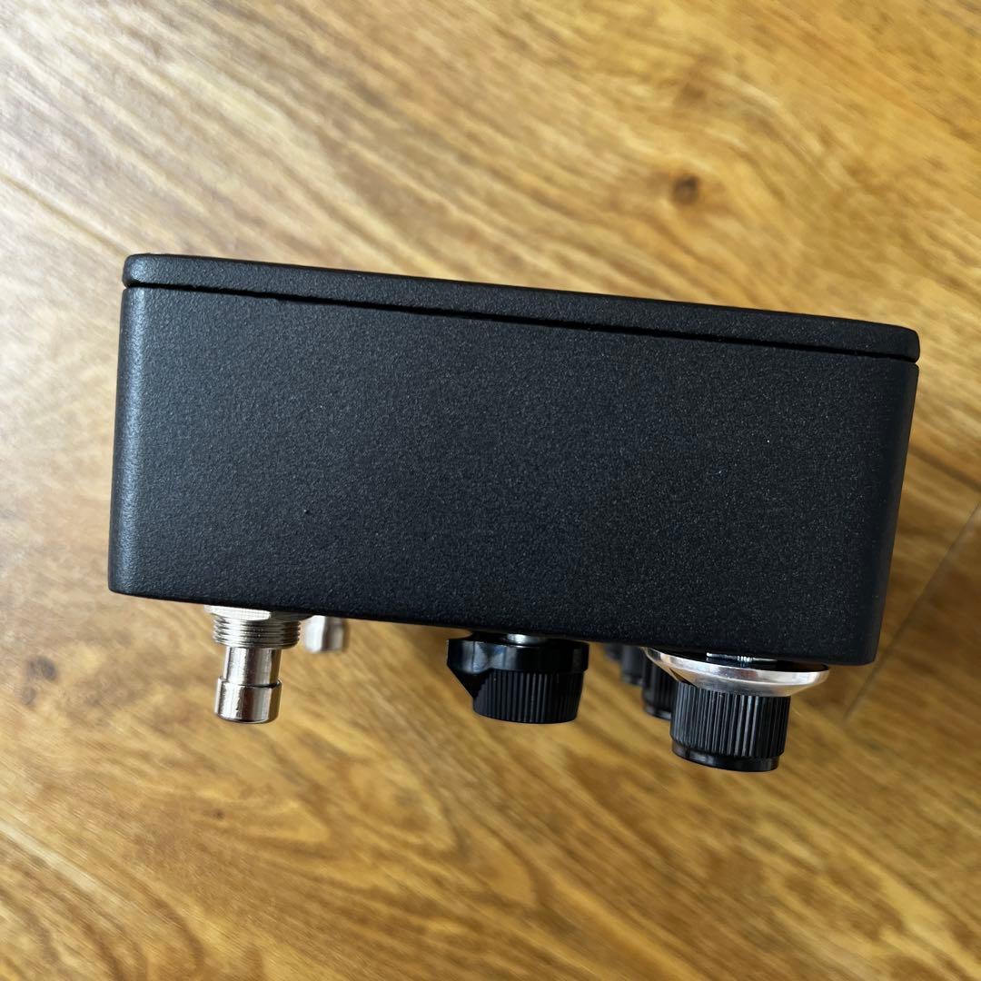 browne amplification protein クローン