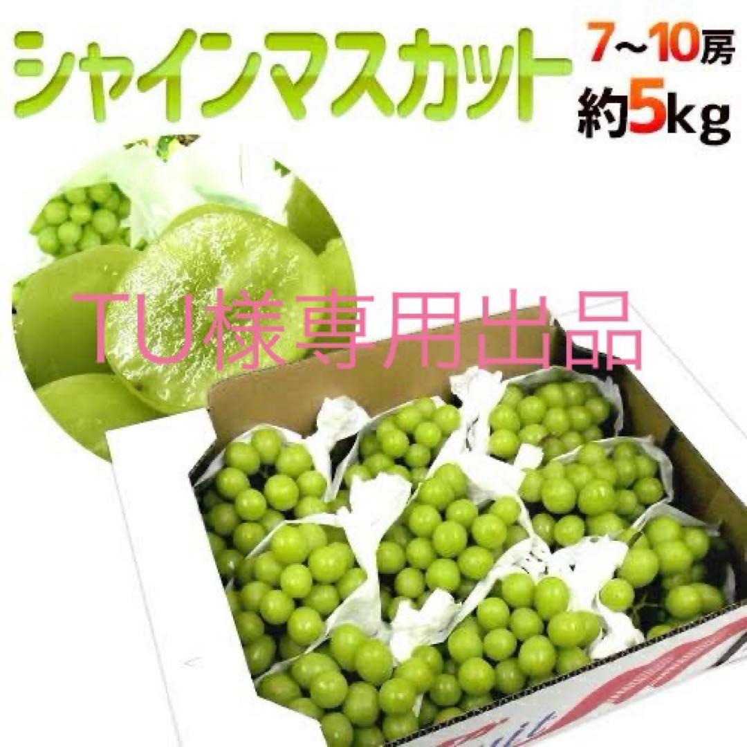 TU出品　高級シャインマスカット大粒　5kg