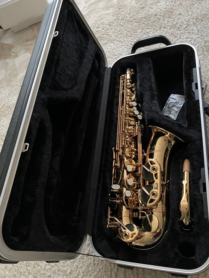 【気まぐれ値下げ】Antigua アンティグア 3100アルトサックス