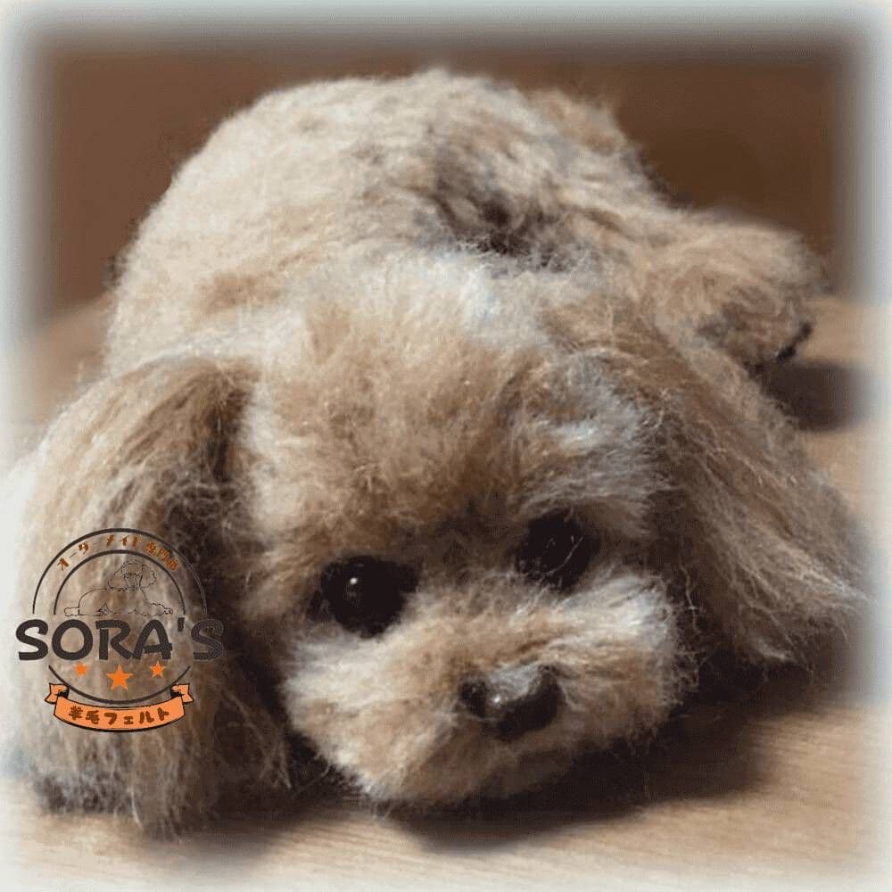 愛犬の羊毛フェルトオーダー・ご予約専用ページ・わんちゃん