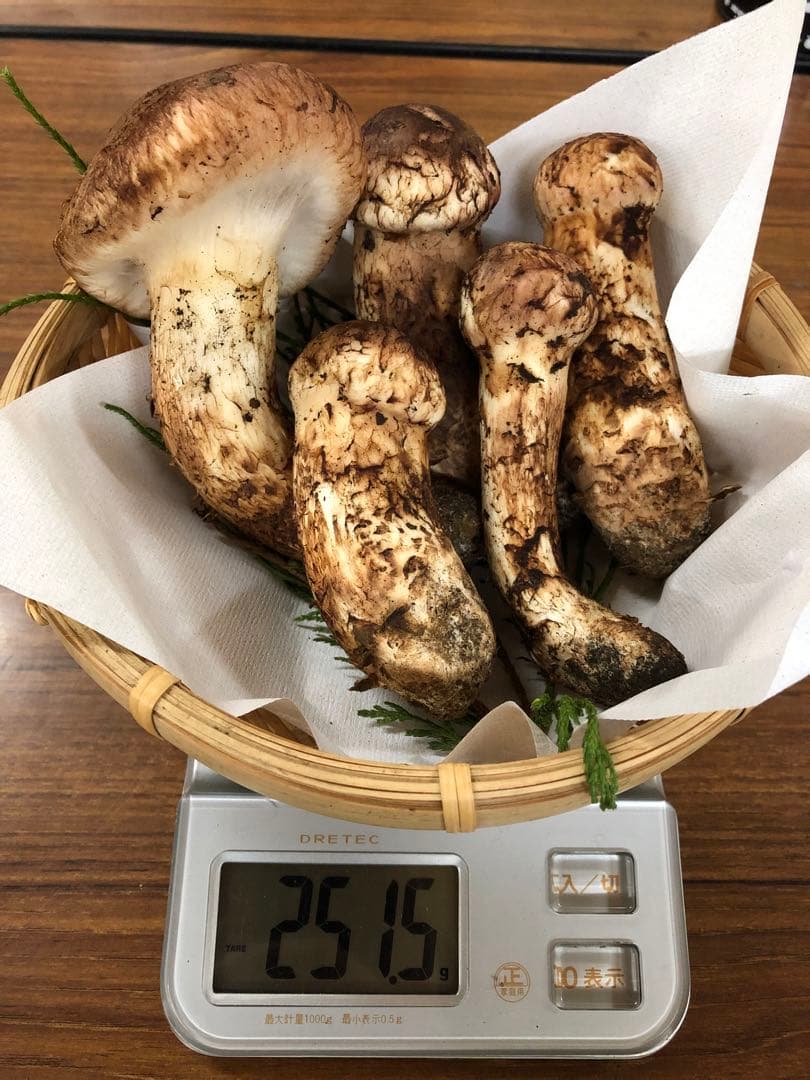 岩手県産　上物天然松茸（251.5g）