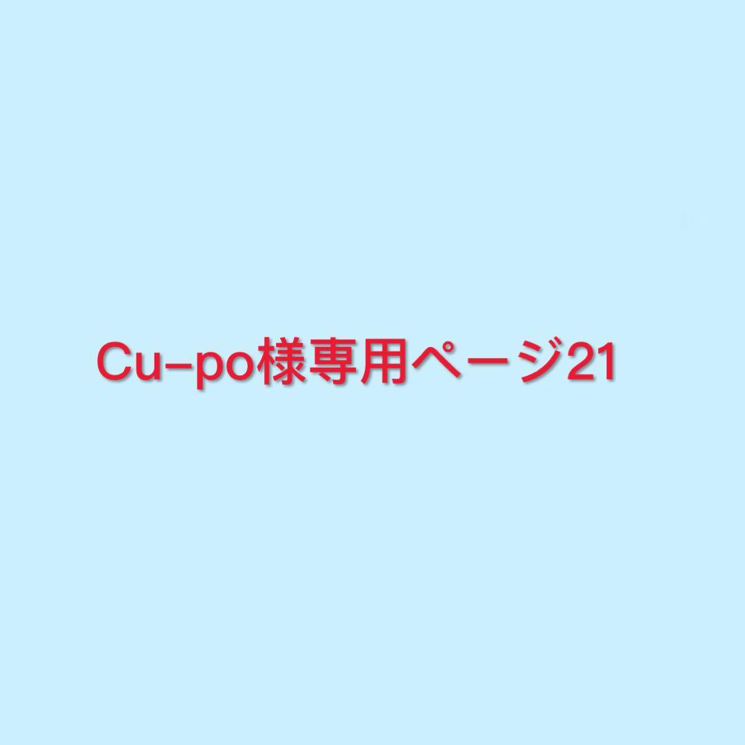 Cu-poページ21