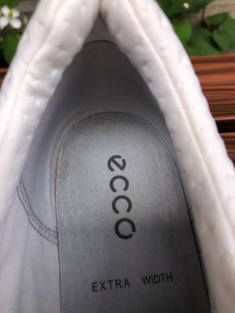 334番 超美品ECCO biom ゴルフシューズ38 24.0cmスパイクレス