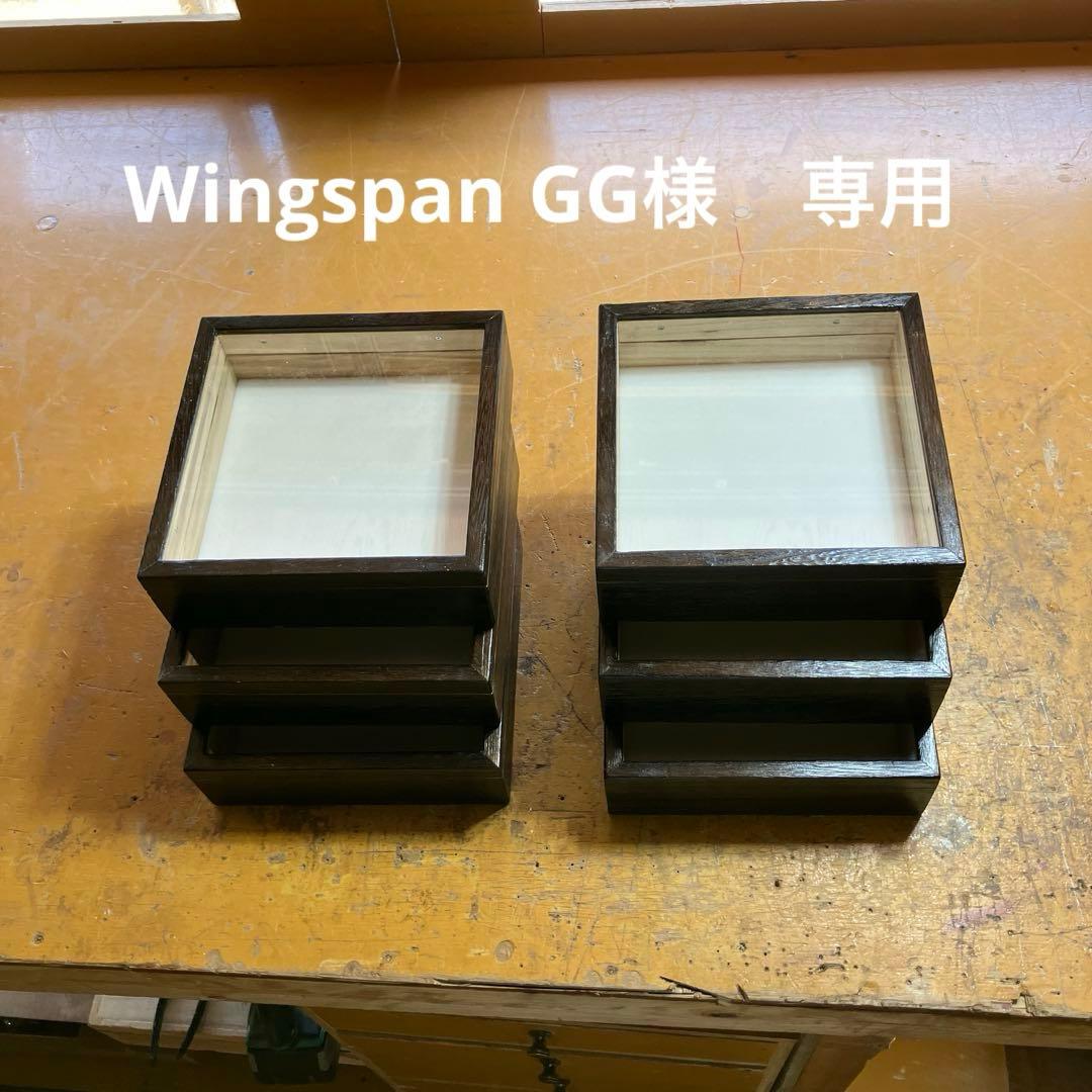 小型標本箱　6箱