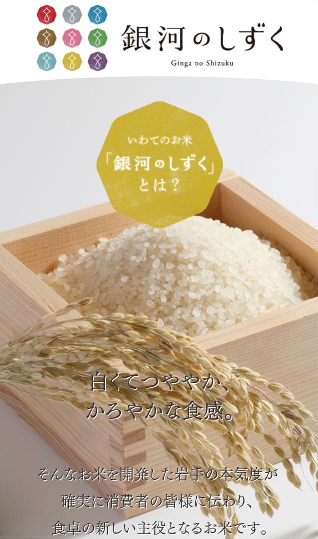 米　白米【岩手県産銀河のしずく20kg】 (5kg×4) 7年連続特A評価！
