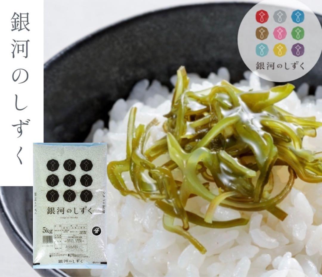 米　白米【岩手県産銀河のしずく20kg】 (5kg×4) 7年連続特A評価！