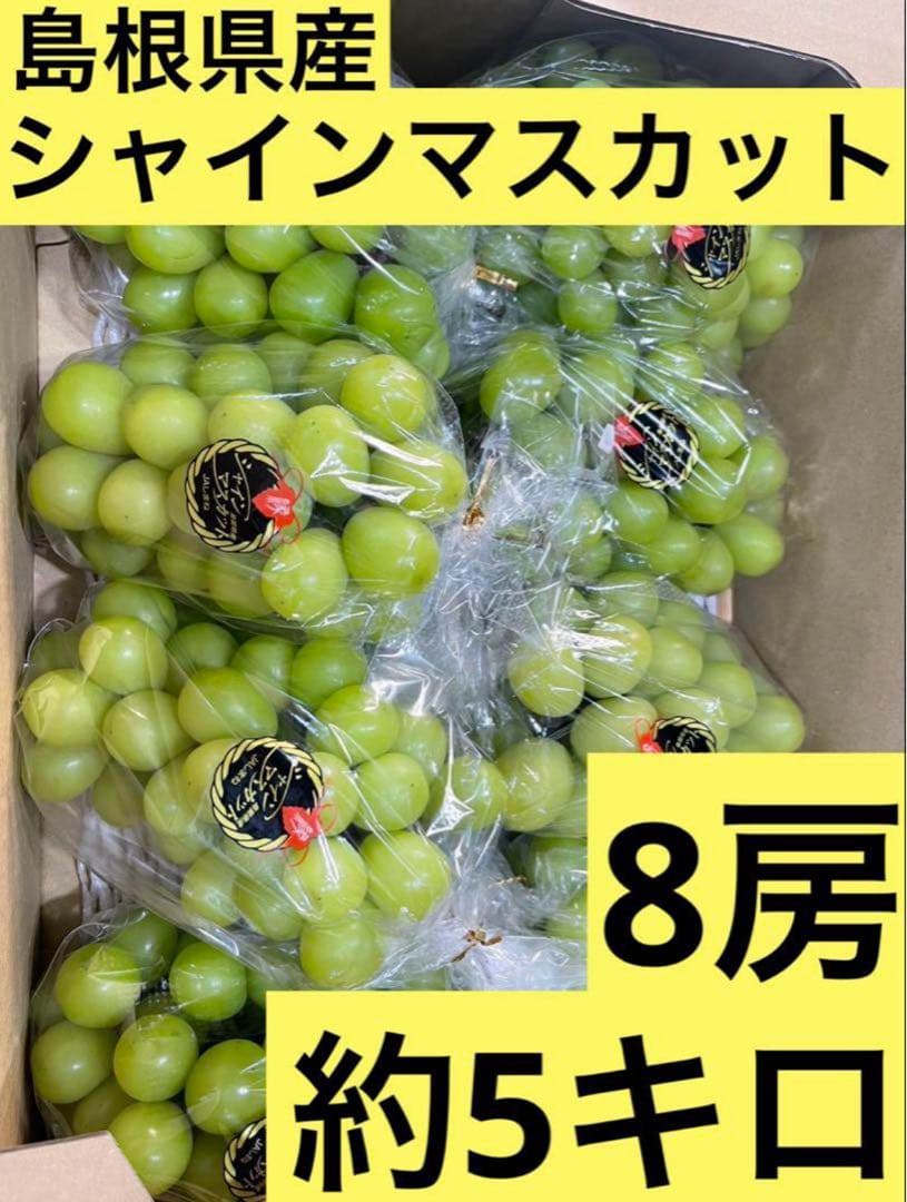 ⑤【島根県産】シャインマスカット約5キロ(8房)
