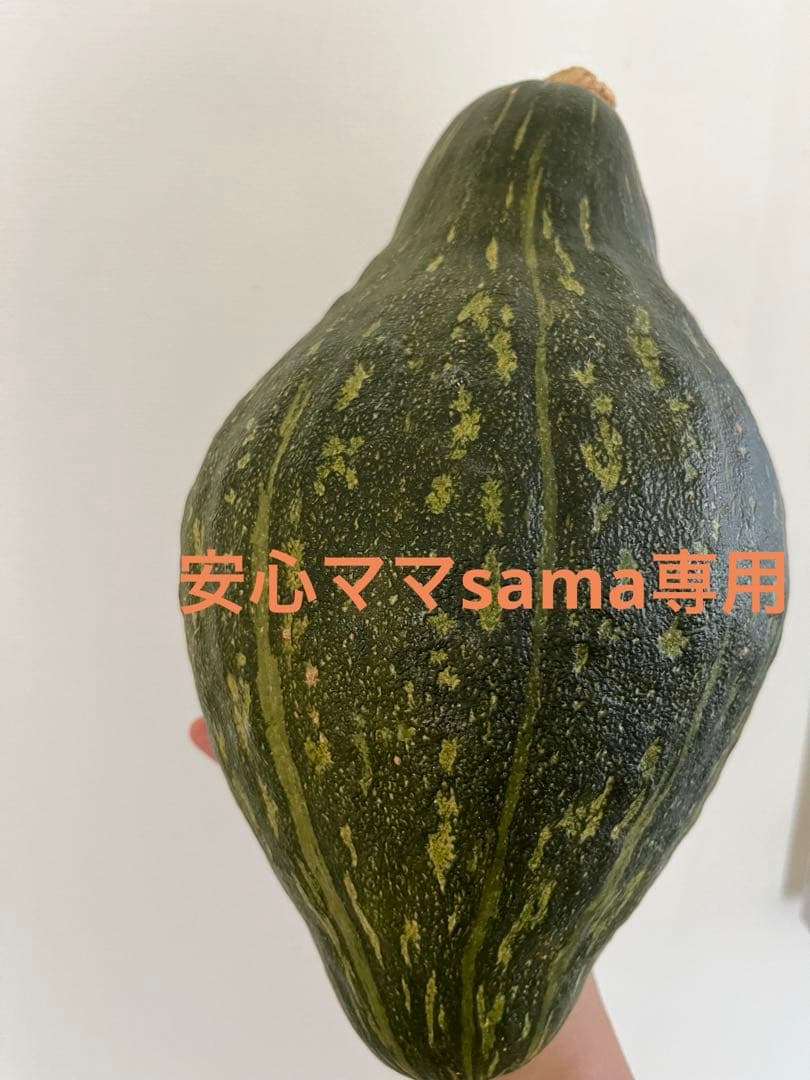 独特な形状の緑色のかぼちゃ箱詰め