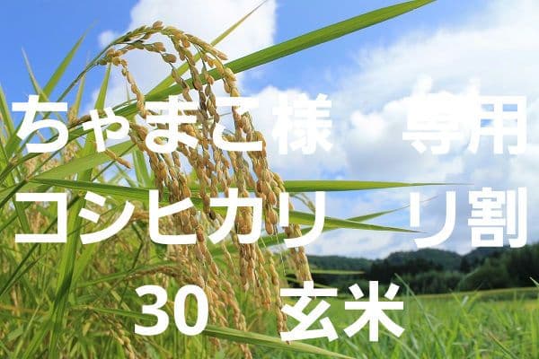 ちゃまこ