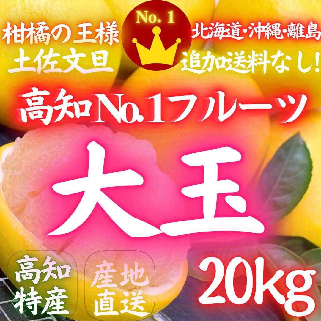 12高知特産 露地栽培 土佐文旦 3L4L文旦 約20kg 大玉 サイズ