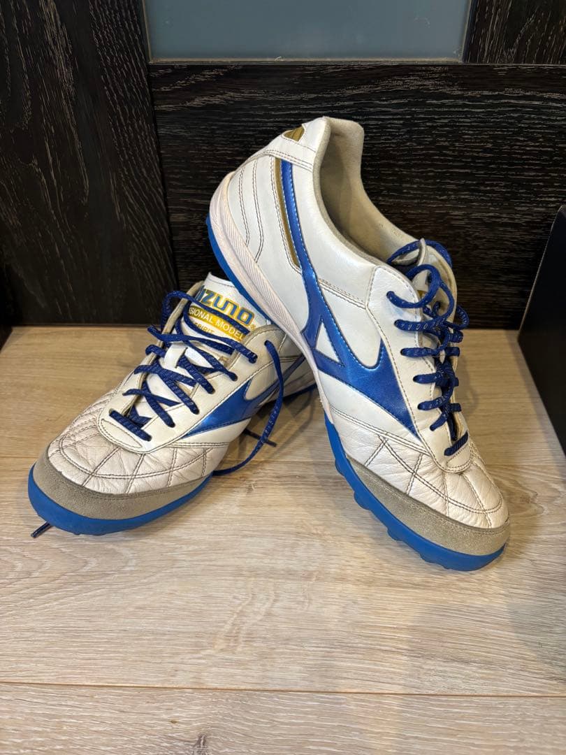 モレリアサラジャパン　TF 25.5センチ