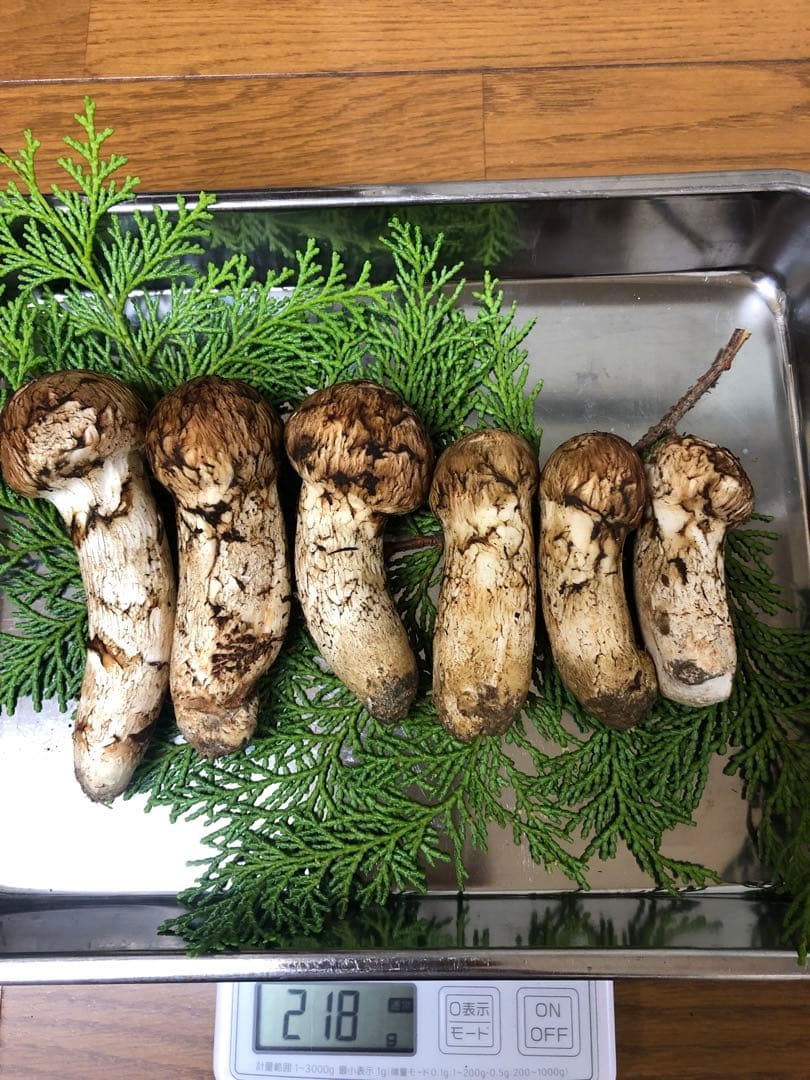 信州産　天然松茸