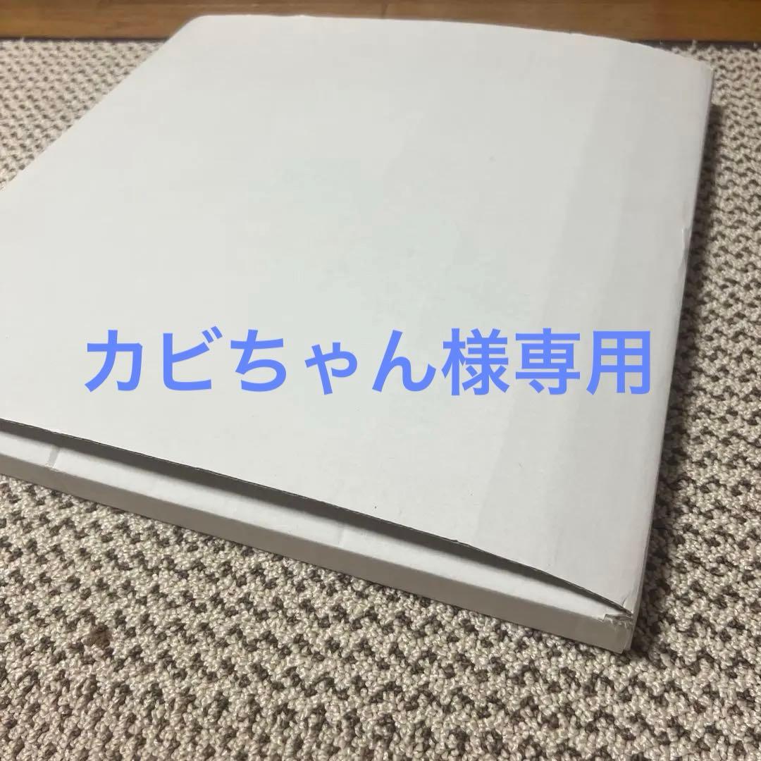 【カビちゃん】MAN WITH A MISSION　ピンバッジセット