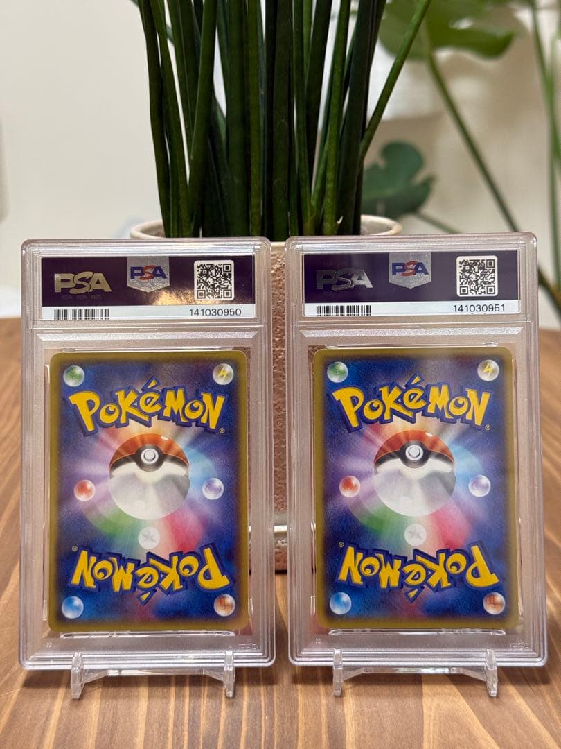 マグマ団のグラードンEX & アクア団のカイオーガEX 【PSA10 2連番】