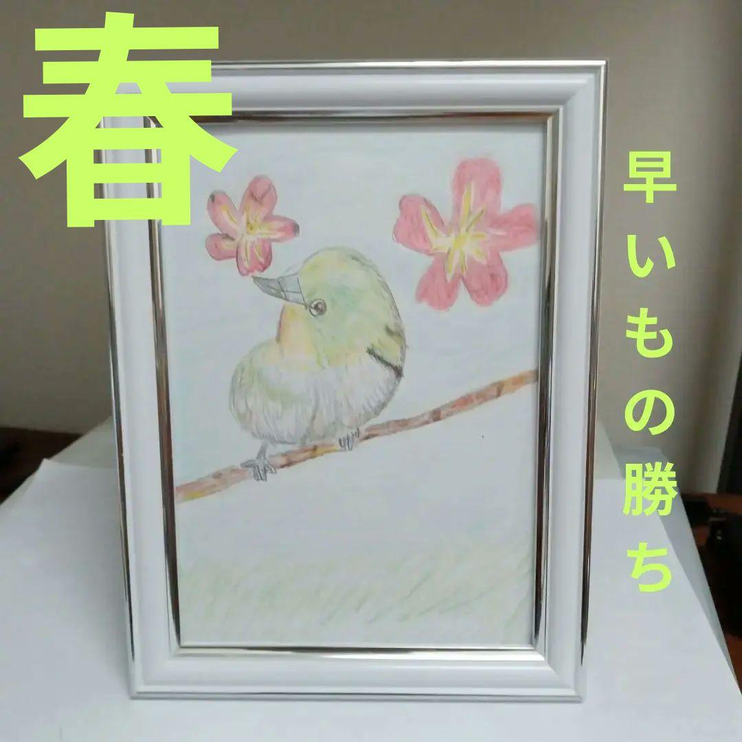 絵（梅にうぐいす、実は目白）フレーム付き