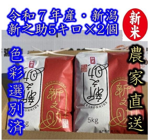 新米・令和7年産　新潟　新之助　白米5kg × 2個★農家直送★色彩選別済13