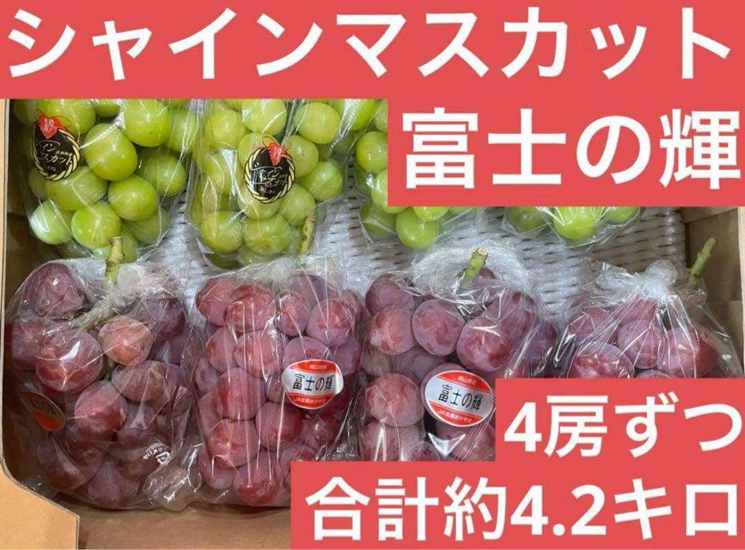 ⑨【島根県産】 シャインマスカット4房 【岡山県産】 富士の輝　4房