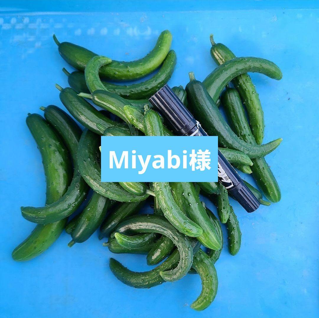 Miyabi様