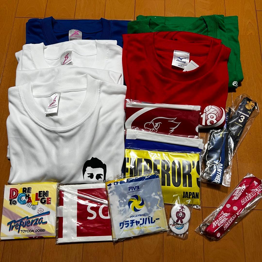 バレーボール　グッズ