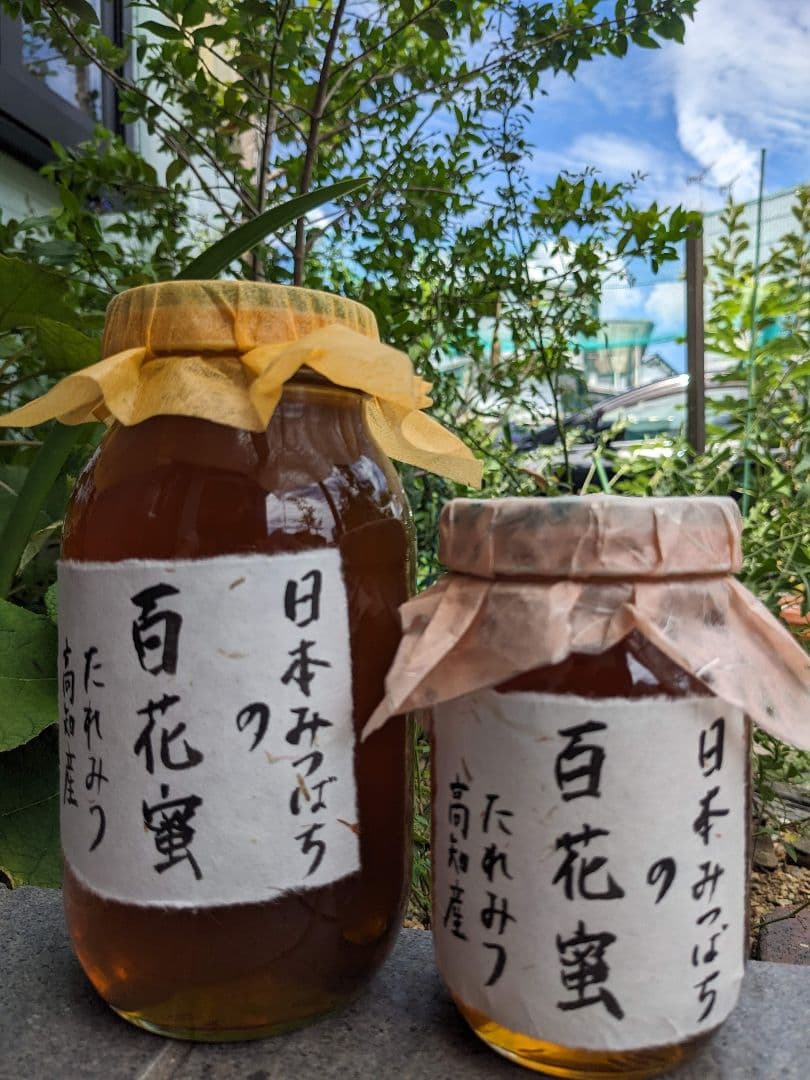 日本ミツバチ 蜂蜜 令和7年 採れたて 600g×2本　味比べ たれ蜜 非加熱
