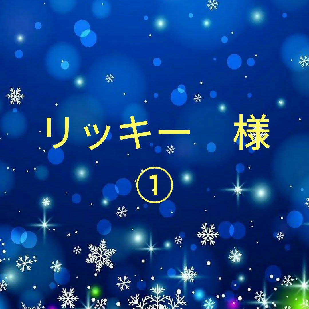 リッキー　①