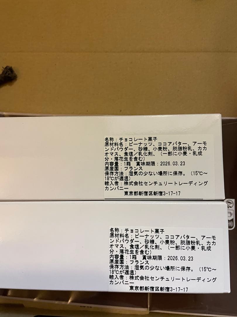フィリップベル　クラッカウェット