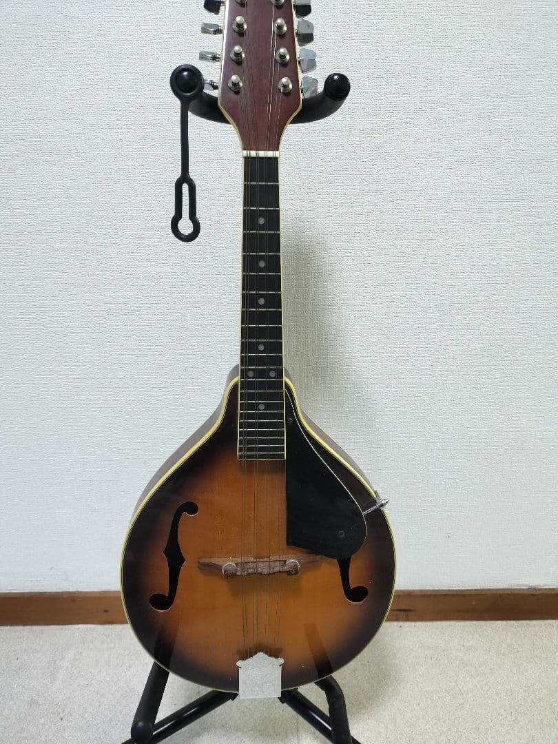 Samickサミック マンドリン sm20ts