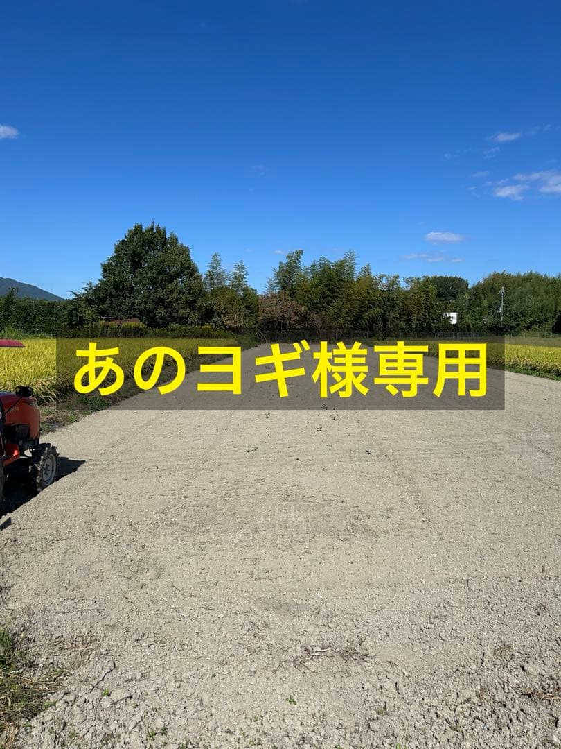 あのヨギ10kg