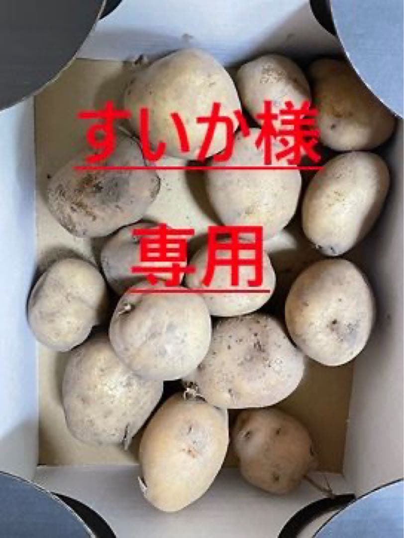 すいか