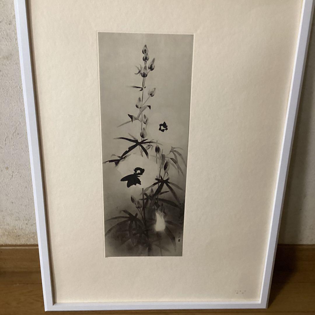 天才画家　速水御舟　作品集大作編　便利堂監修　画集【露　潤】　NO 41