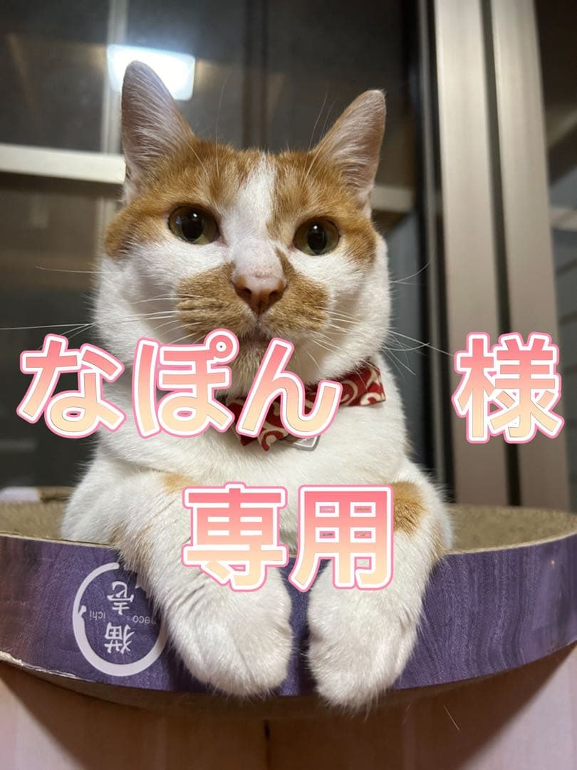 なぽん