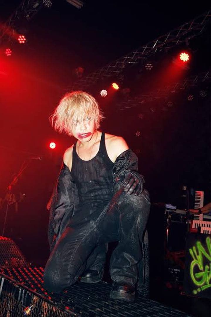 HYDE VAMPS ピック 本人使用 ハイド 非売品 ラルク