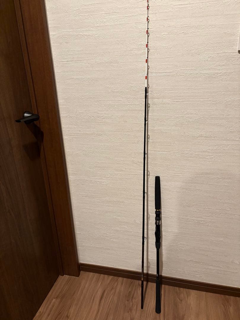 Daiwa (ダイワ) ビシアジX M-190・J