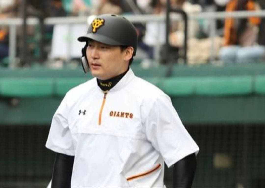 プロ野球 巨人 読売ジャイアンツ 半袖ハーフジップジャケット XL