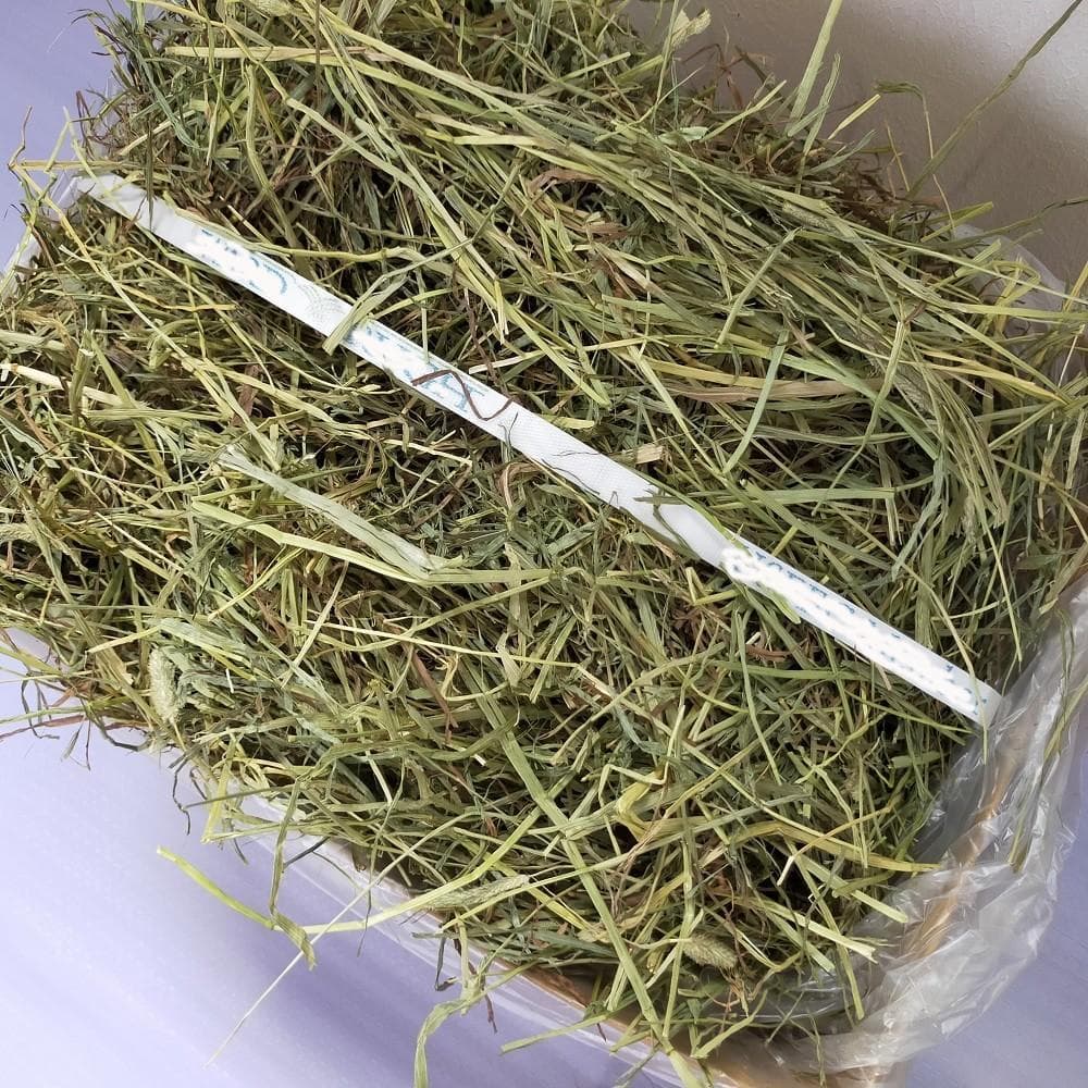 【業販価格】US産 チモシー 180kg ２番刈 ソフトSプレミアム