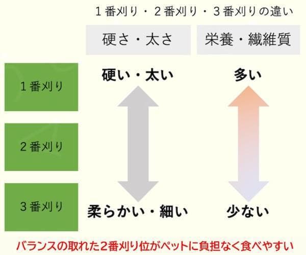 【業販価格】US産 チモシー 180kg ２番刈 ソフトSプレミアム