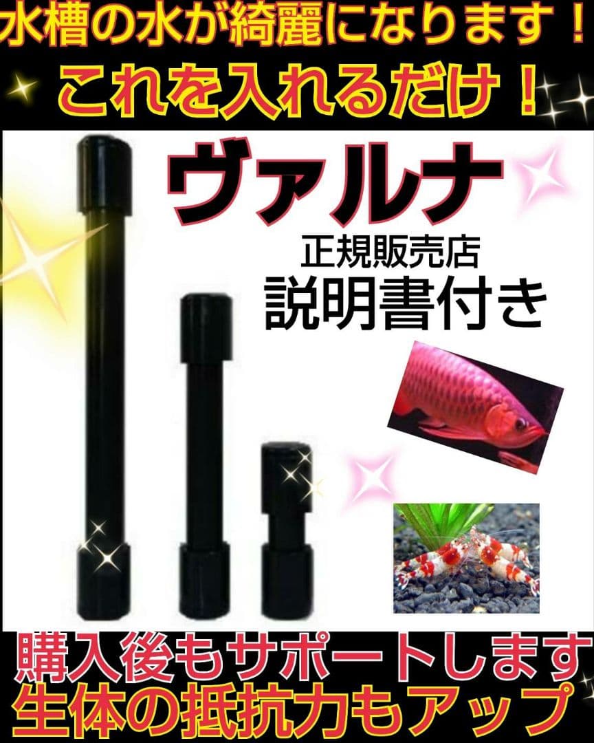 ヴァルナミニ　23センチ　水槽の透明度が抜群に！有害物質強力抑制！水替え不要に！