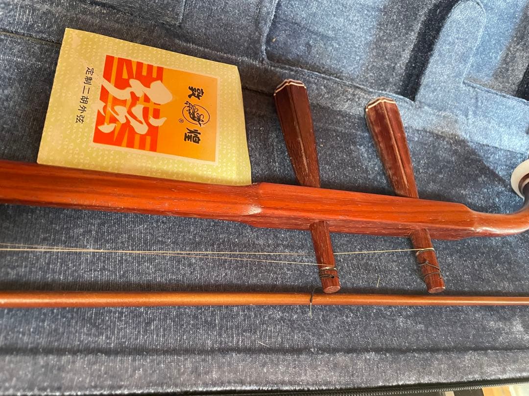 三味線 蛇皮 ケース付き 教本付き 二胡