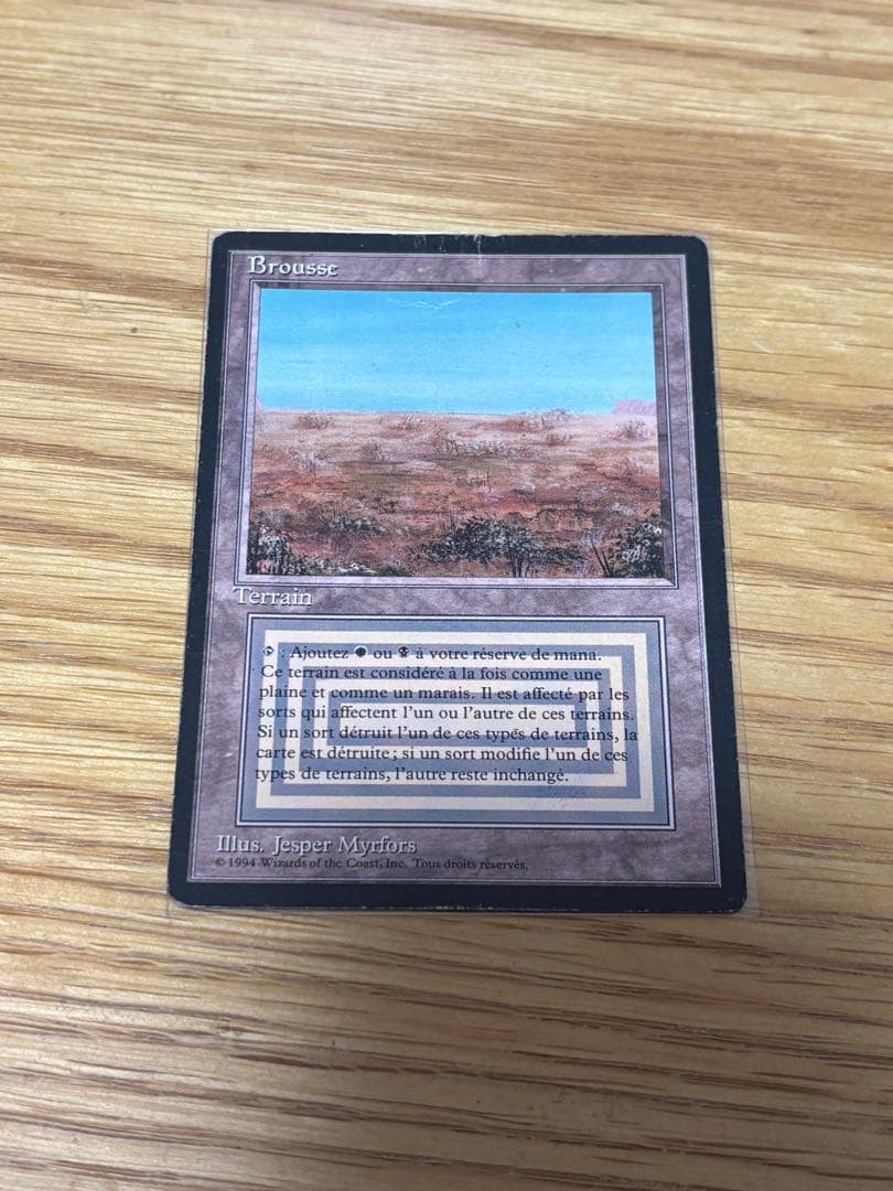 MTG Scrubland FBB フランス語