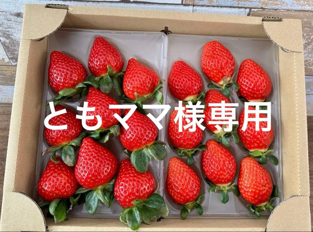 埼玉県プレミアムいちご あまりん&かおりん食べ比べセット 5箱