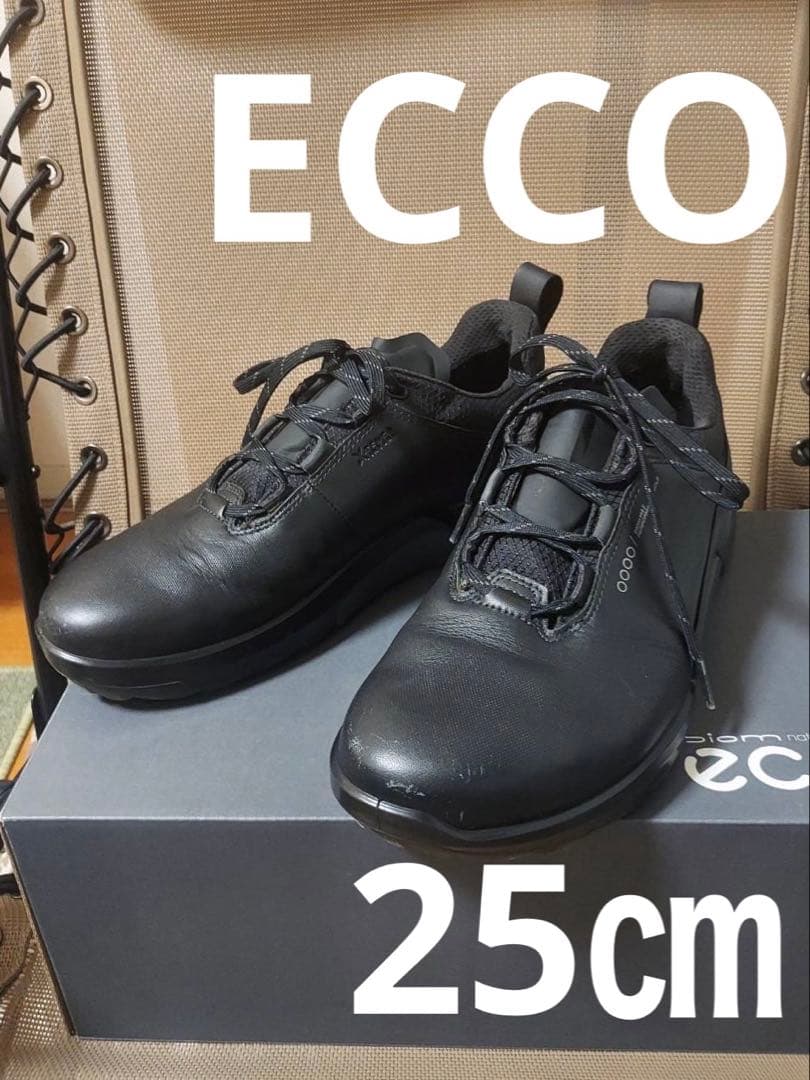 ECCO ゴルフシューズ ブラック　40