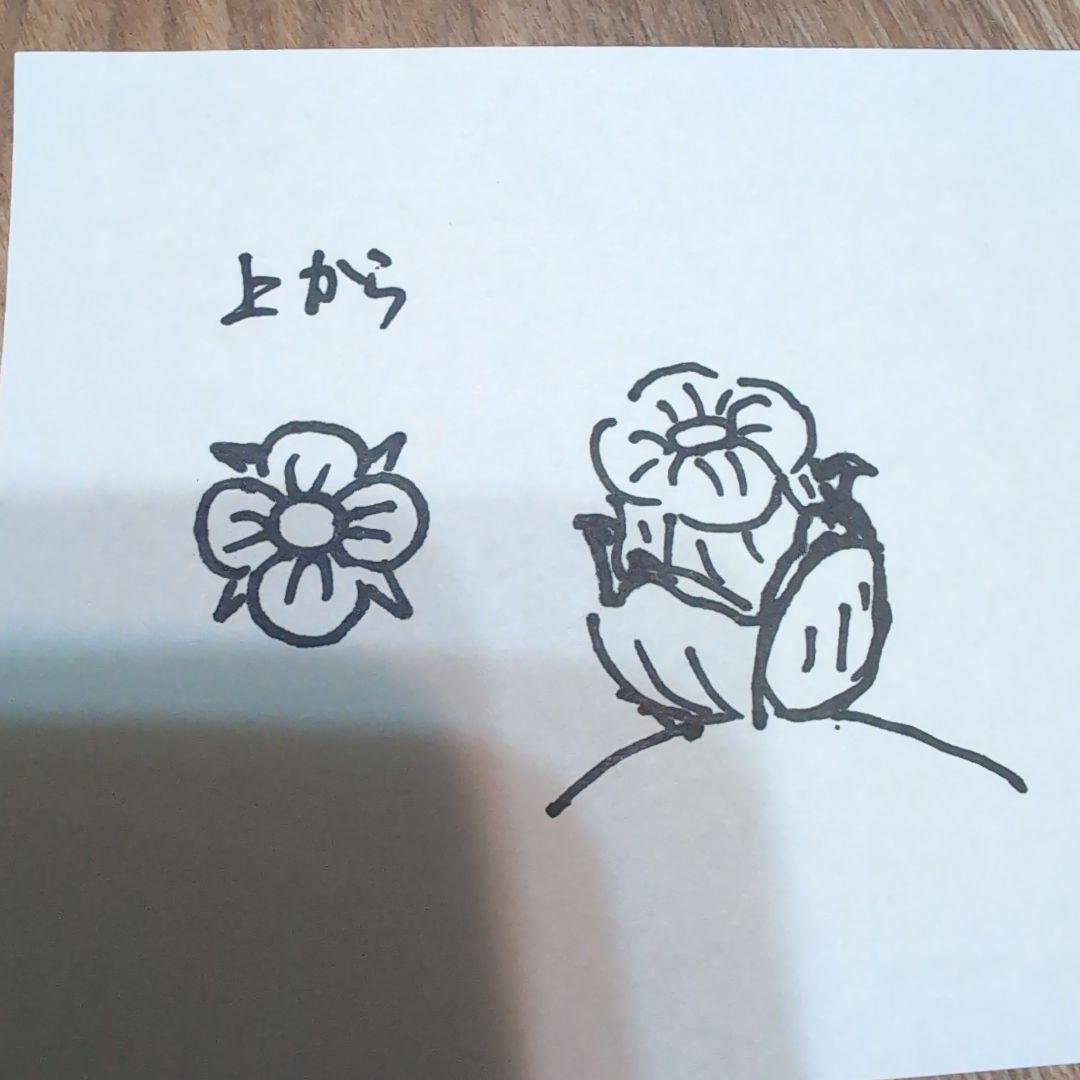 スマホ猫